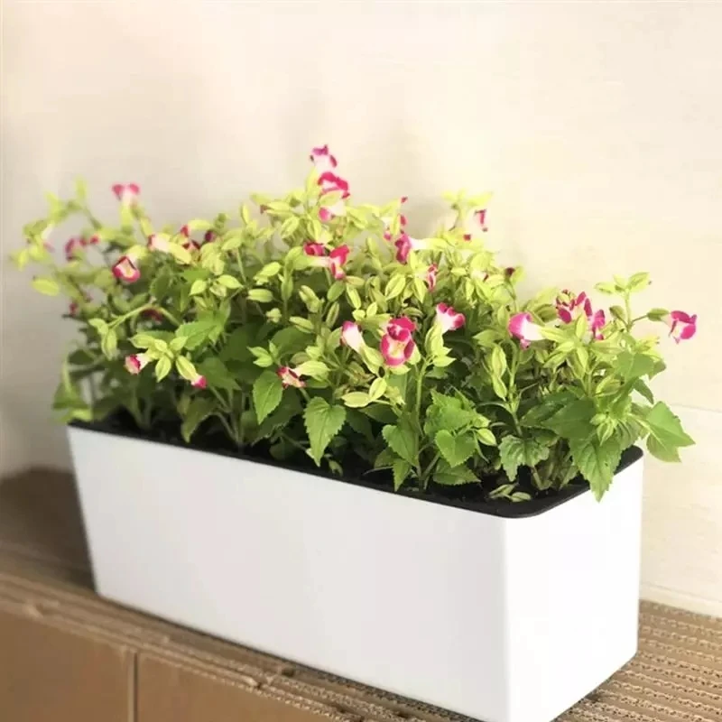 Automatic Plant Waterer - Rectangula Lazy Flower Pot Topf Hydrokultur