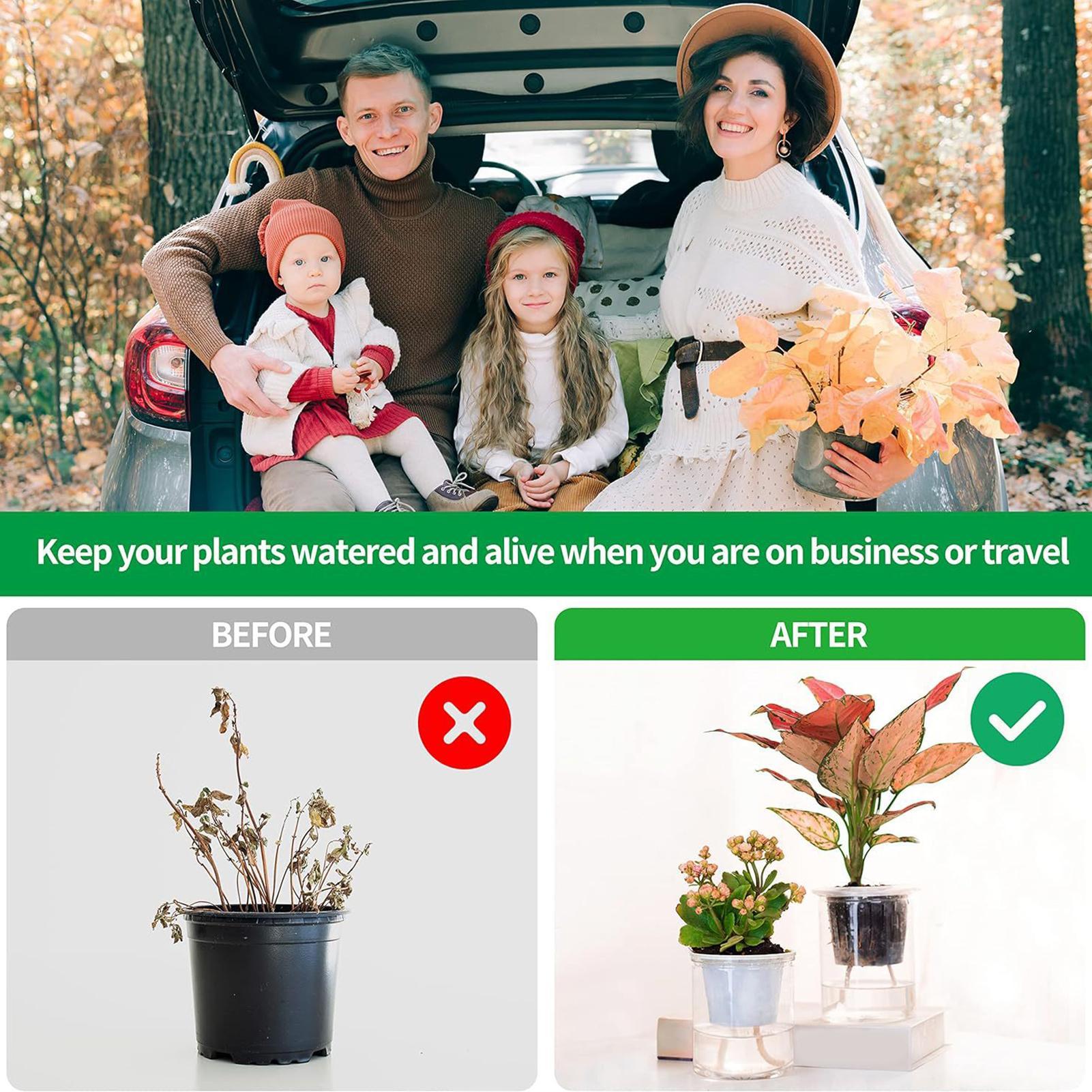 Pflanzenwickler für Selbstbewä – Automatic Plant Waterer Bewertung und Preis