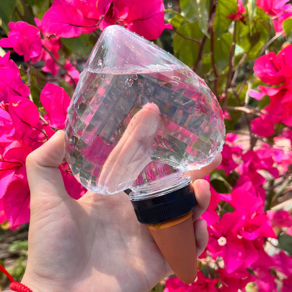 Herzförmiges, automatisches Be – Automatic Plant Waterer Bewertung und Preis