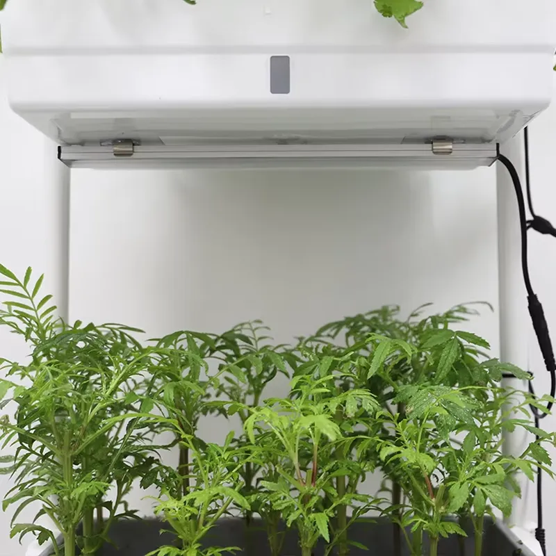 Beweglicher Vertikaler 3-Ebene – Self-Watering Planter Bewertung und Preis