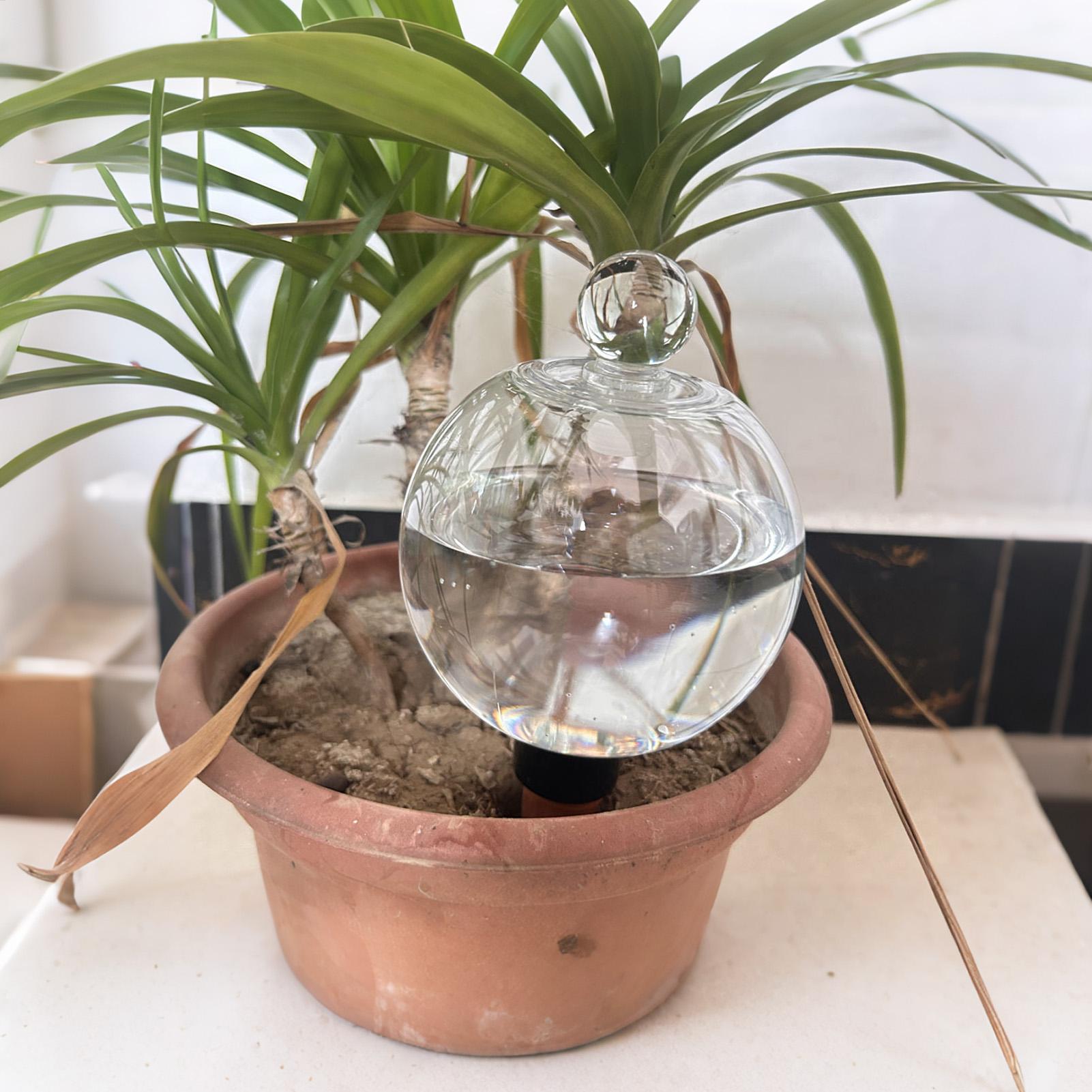 Pflanzenbewässerungskugeln, 4  – Automatic Plant Waterer Bewertung und Preis