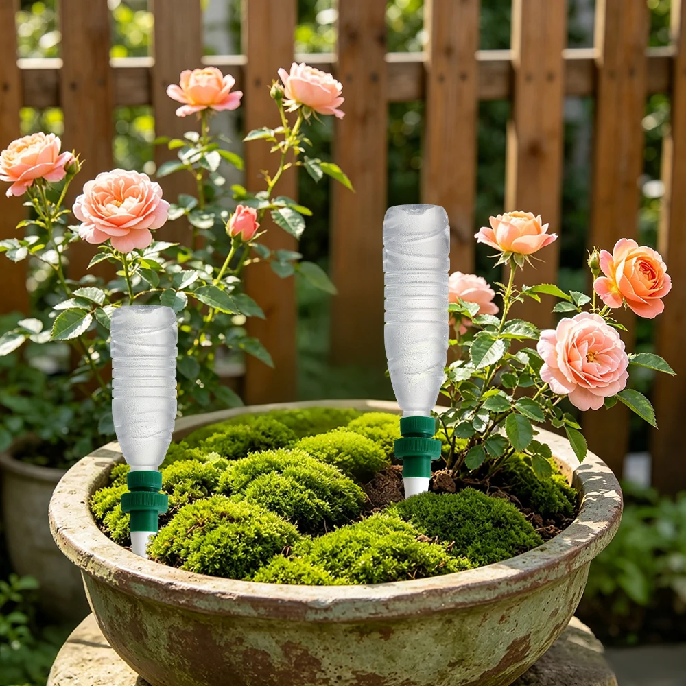 Pflanzen-Bewässerungsstifte, a – Automatic Plant Waterer Bewertung und Preis