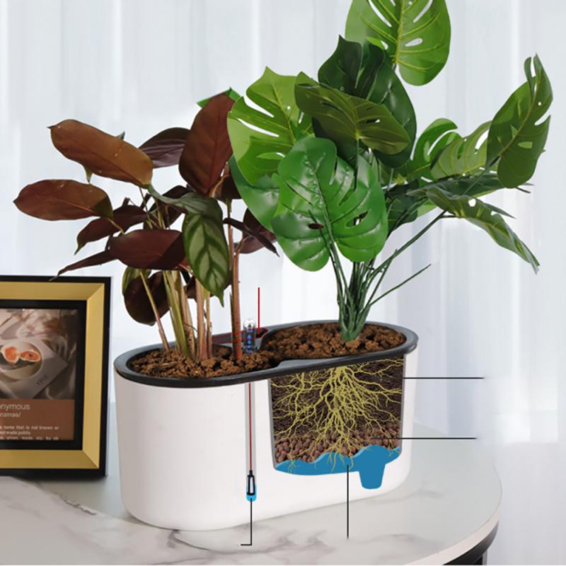 Indoor-Anlage Mit Anzeige Holz – Automatic Plant Waterer Bewertung und Preis