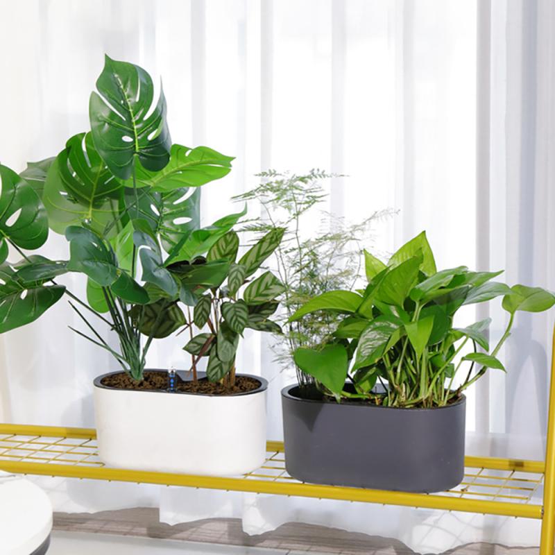 Indoor-Anlage Mit Anzeige Holz – Automatic Plant Waterer Bewertung und Preis