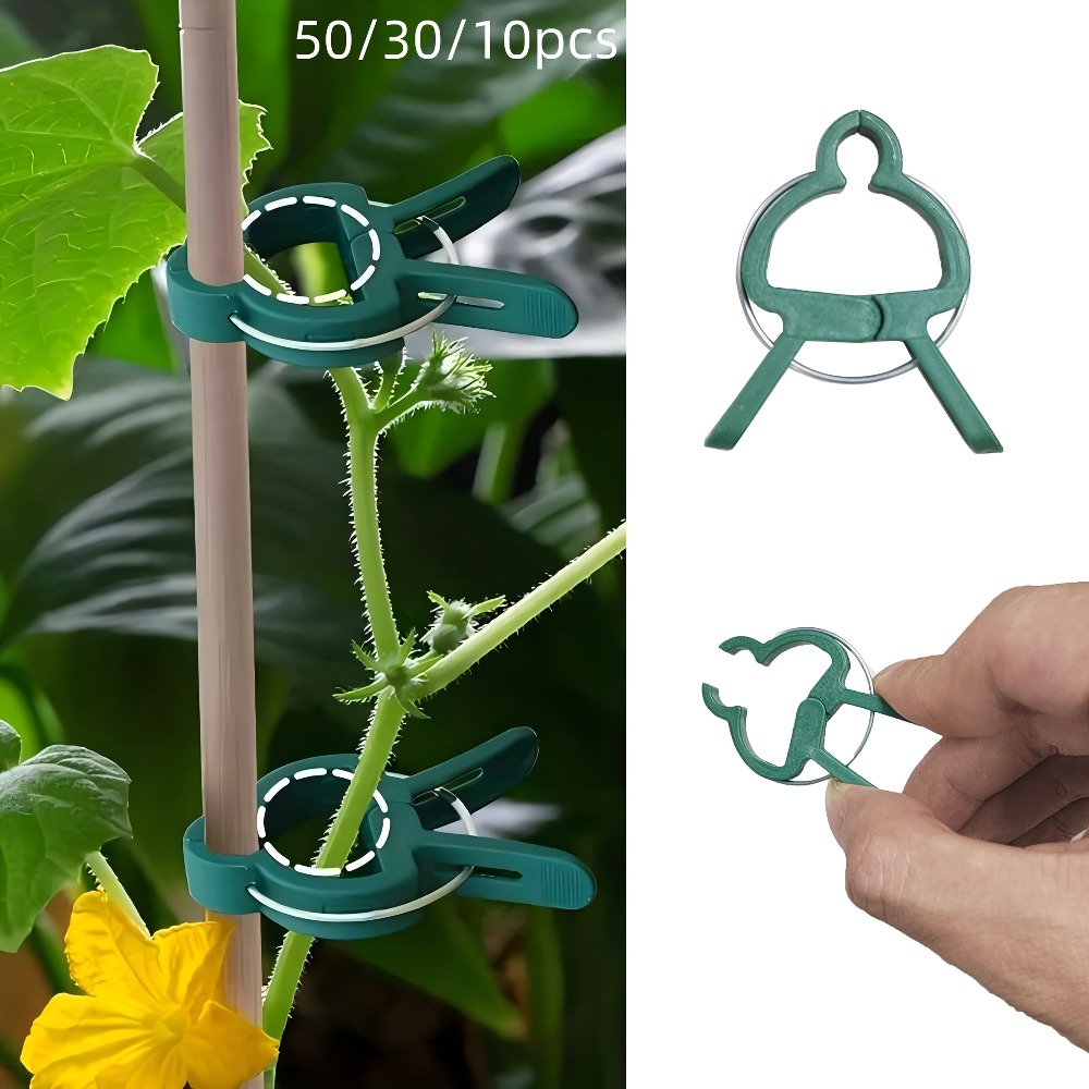 10/30/50 Stück verstellbare Pf – Gardening Tools Essential Bewertung und Preis