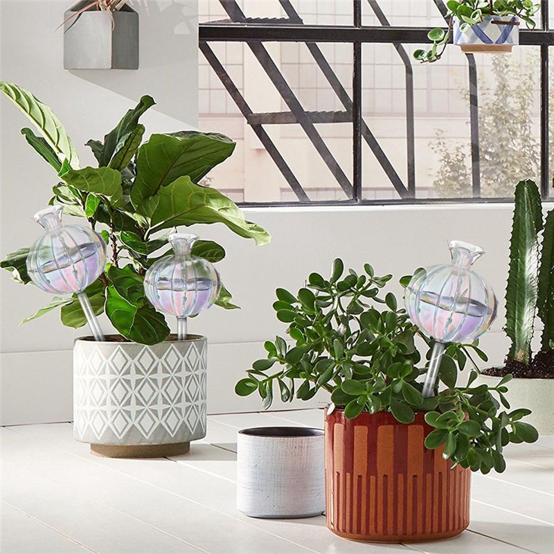 AA94 – Pflanzenbewässerungs-Gl – Self-Watering Planter Bewertung und Preis